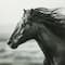 Ashland; 18" x 20" Framed Wild Horse Head Wall Décor by Ashland®; Category:Wall Decor; Image:3